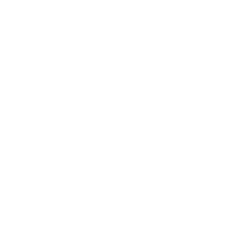 Wit icoon met 25 jaar ervaring voor LeonDesign lederwaren.